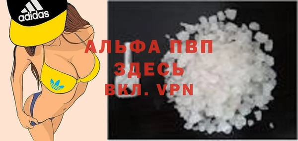 СК Покачи