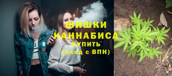 прущие грибы Покров