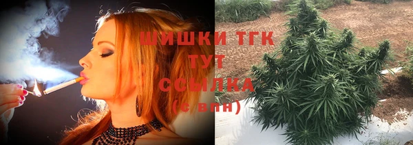 прущие грибы Покров