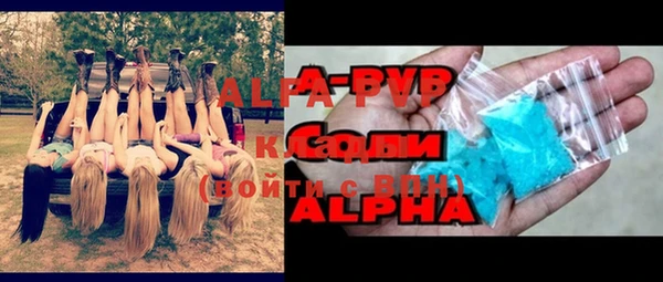 СК Покачи