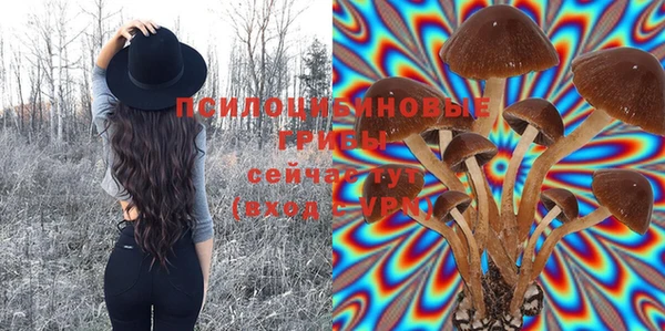 СК Покровск