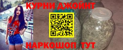гашик Гусев