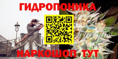 твердый Беслан