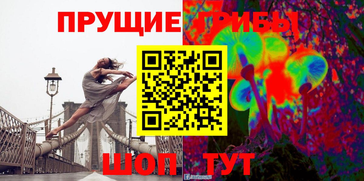 Галлюциногенные грибы GOLDEN TEACHER Курганинск