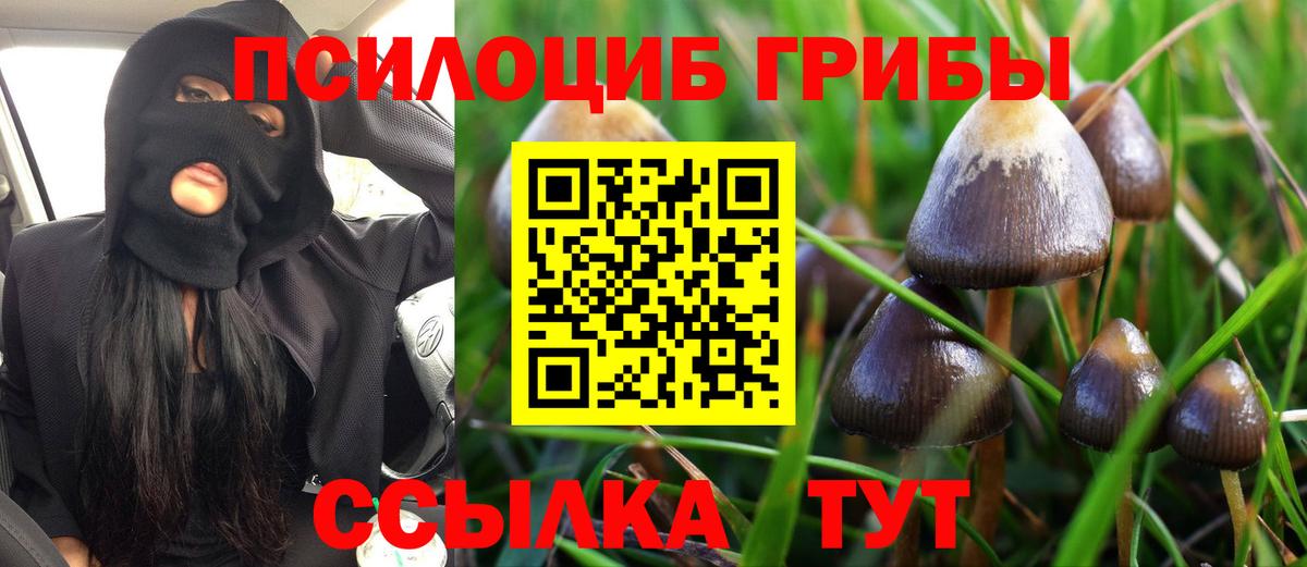 Галлюциногенные грибы Magic Shrooms Курганинск