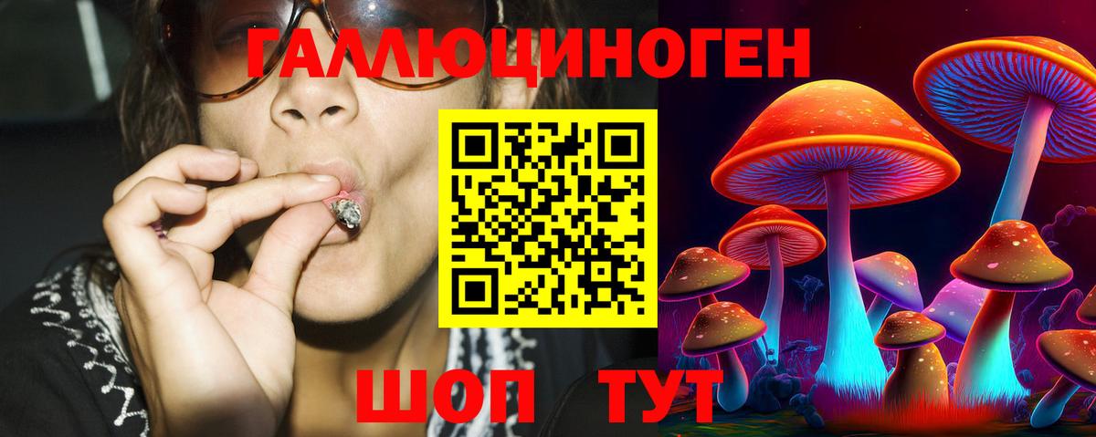 Галлюциногенные грибы Psilocybine cubensis  Вход с VPN  Курганинск 
