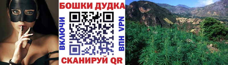 Канабис сатива Курганинск